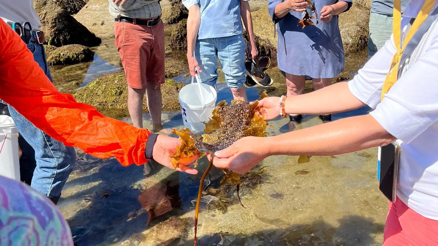 Joie de la cueillette