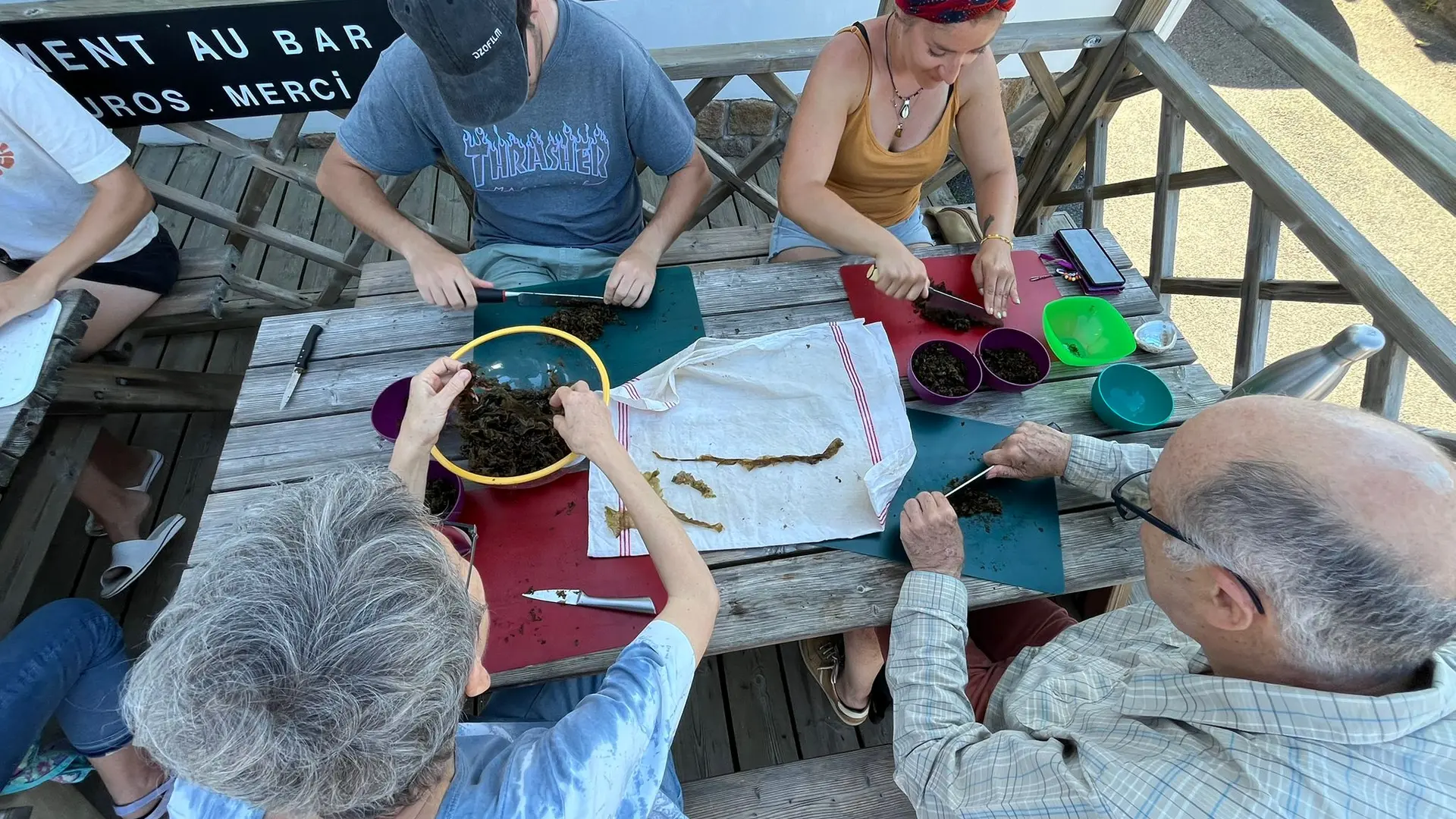 Découpage des algues