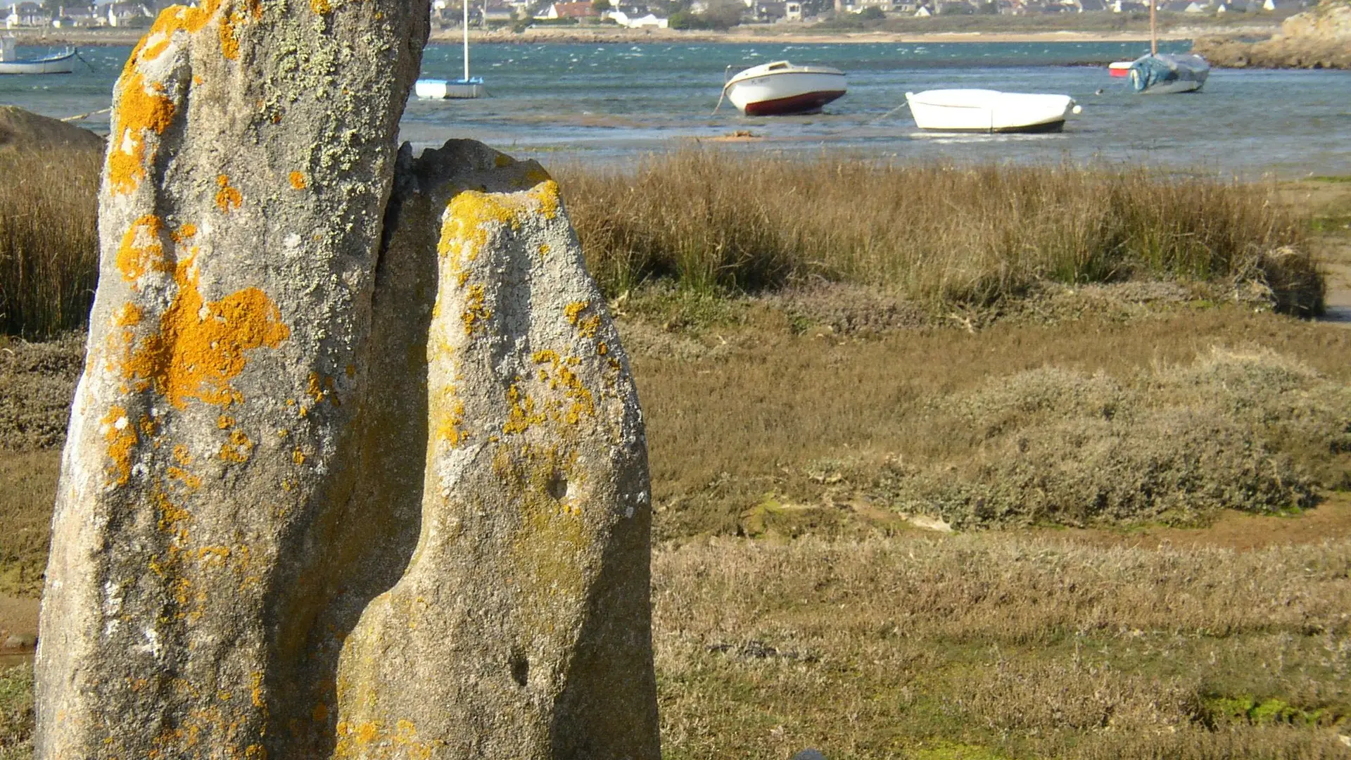 Ile Grande depuis Toeno2