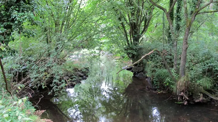 Jaudy vestige du moulin du bois © G. Lécuiller, Région Bretagne