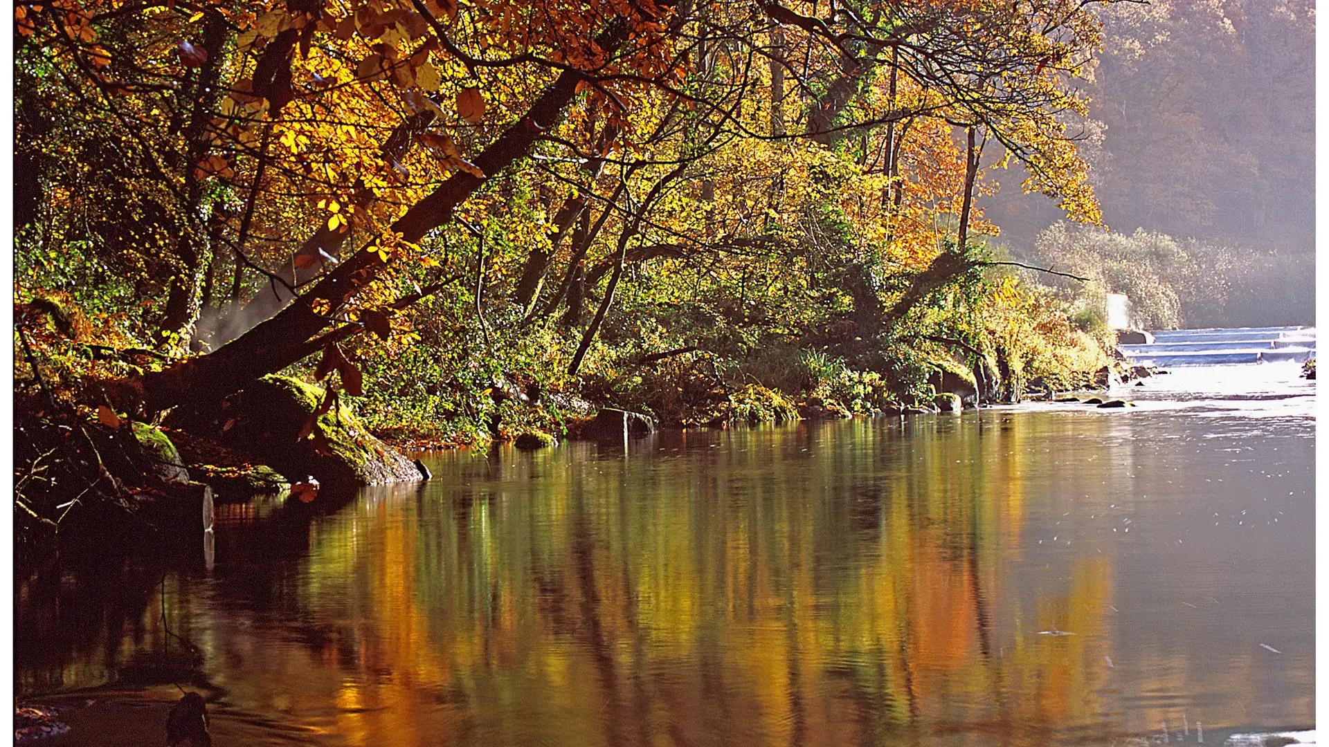 Kernansquillec reflet verdure Christian Le Gac 300dpi