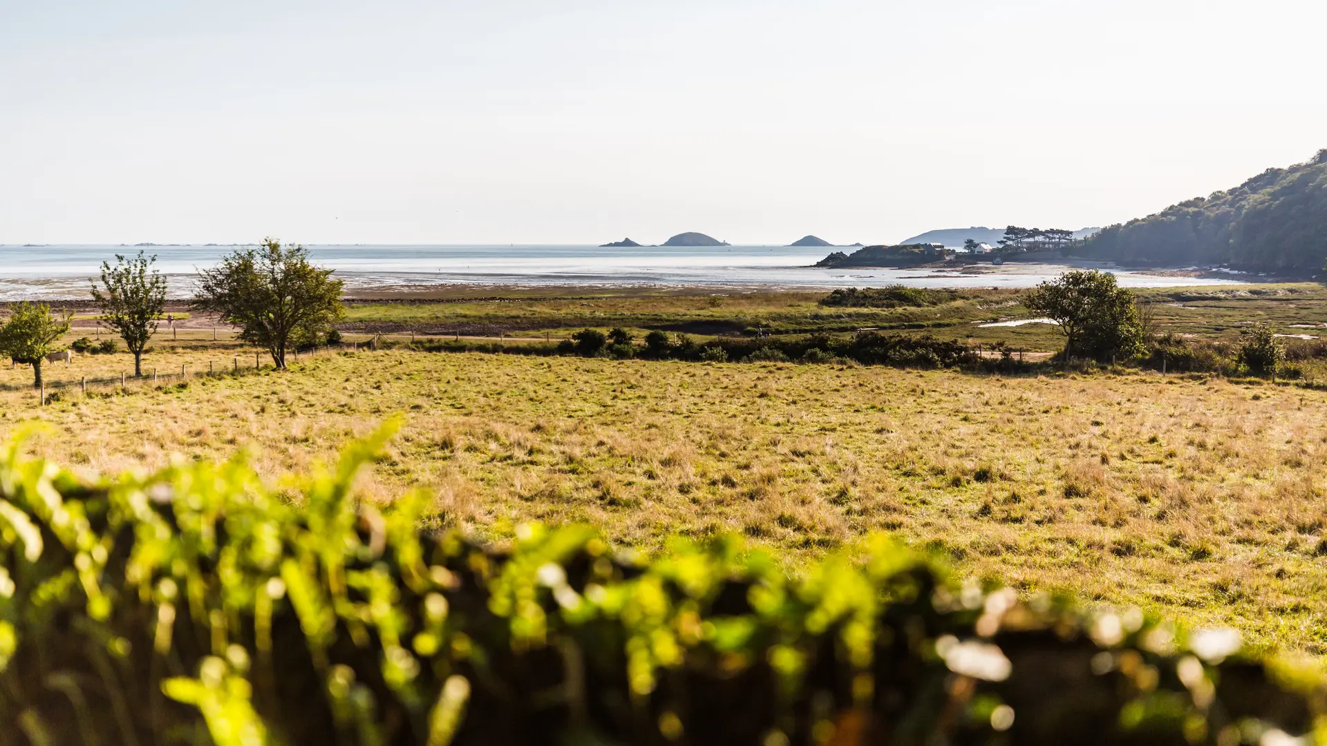 Littoral et baie de Beauport (Paimpol-Côtes d'Armor)