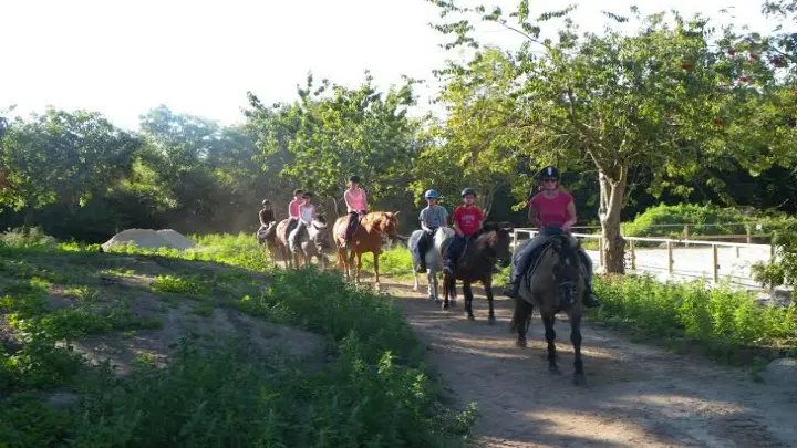 Lannion Equitation