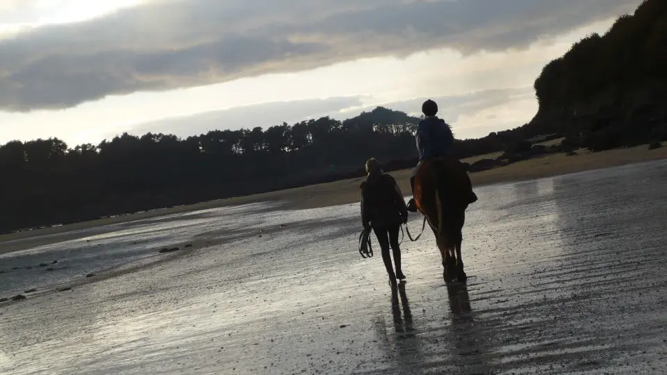 Lannion Equitation