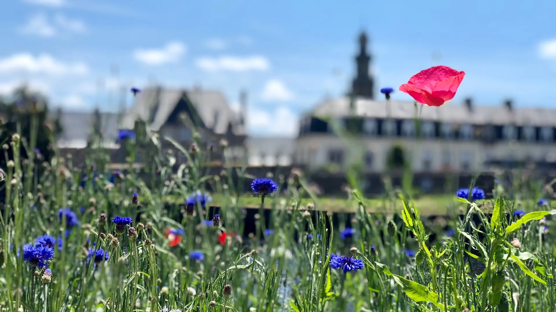 Lannion Quai d'Aiguillon