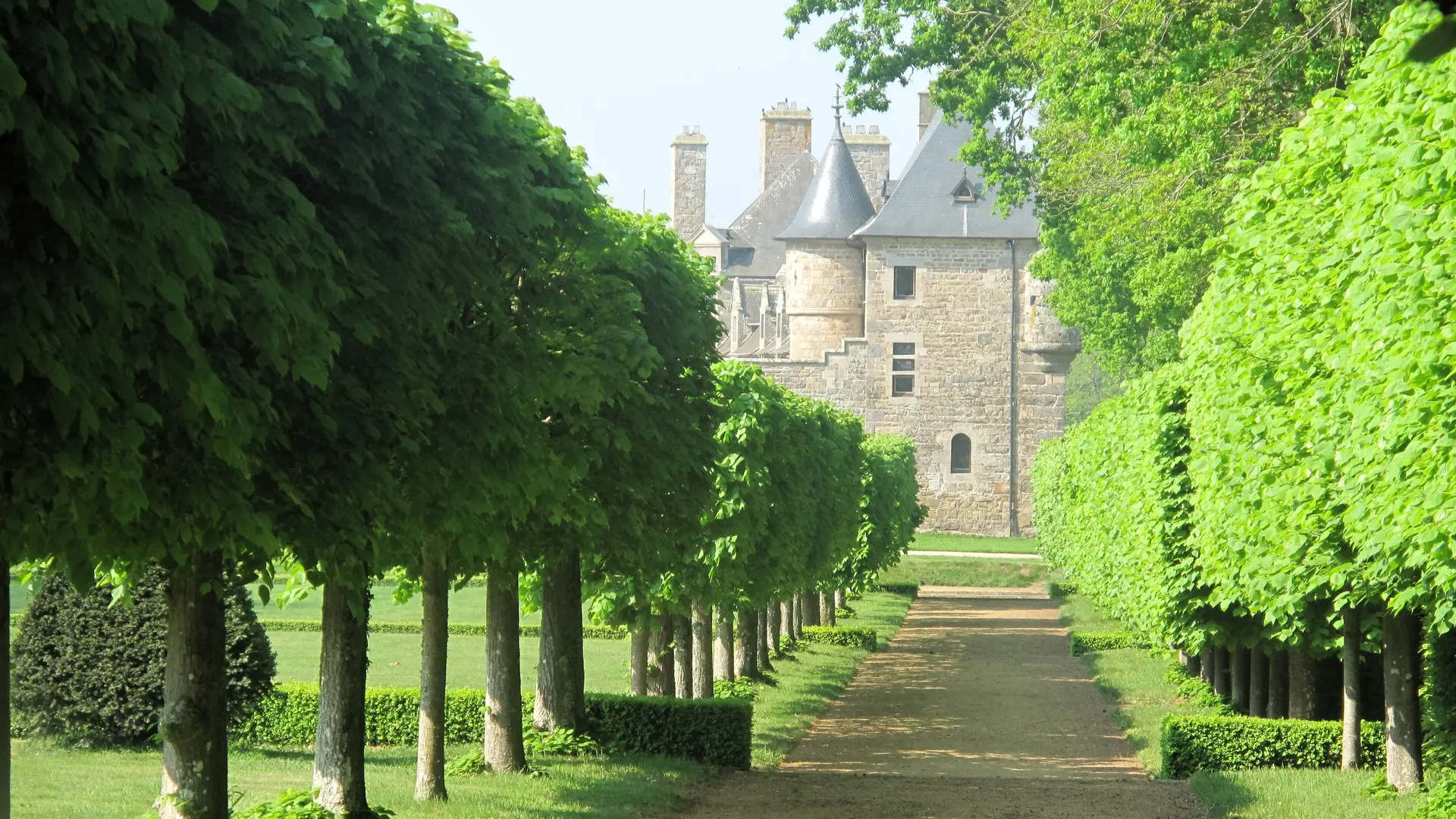 Le Parc - Allée de Tilleuls