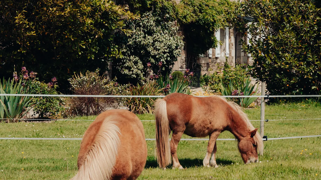 Manoirs des petites bretonnes 5