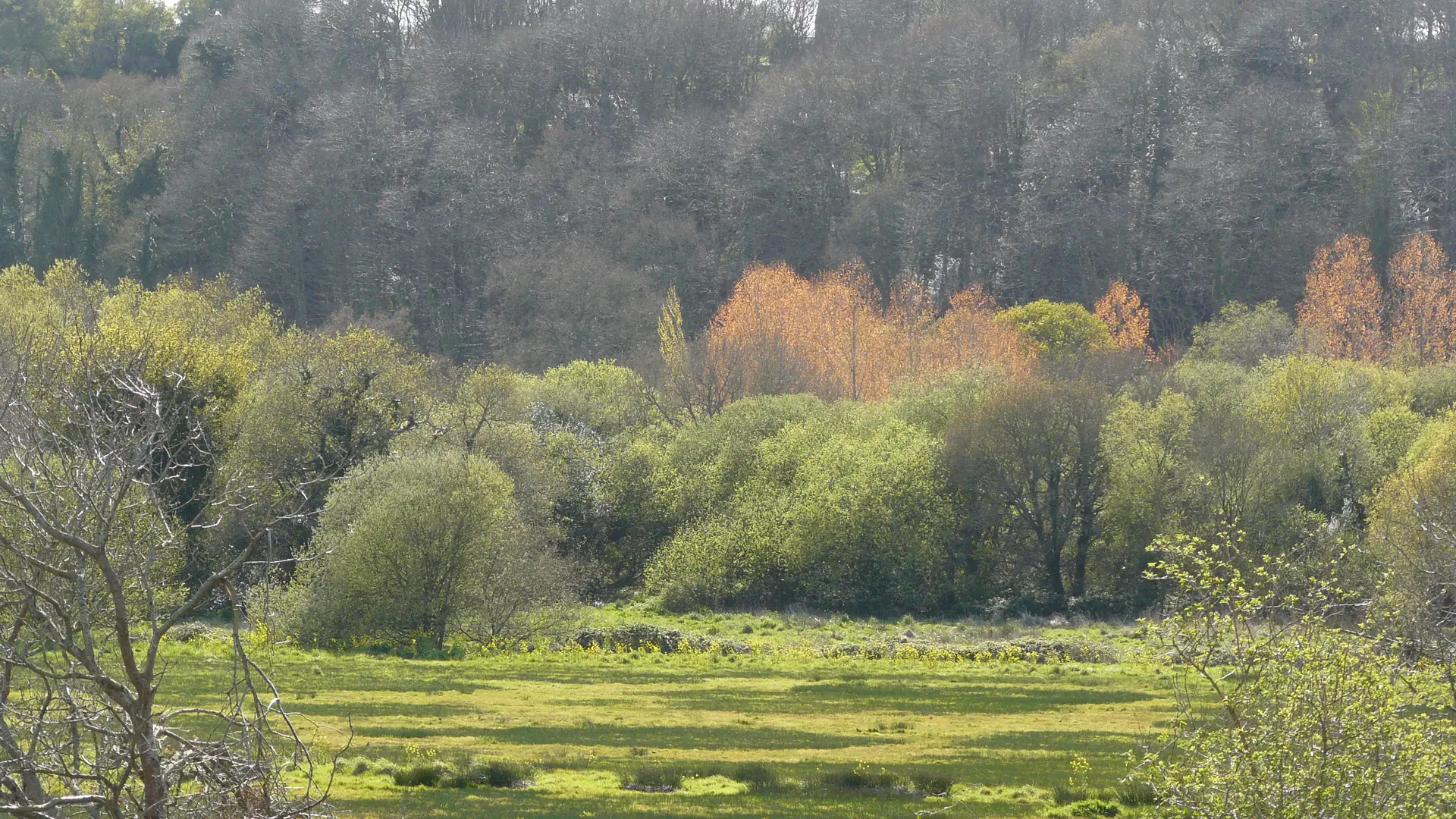 Marais de Trestel