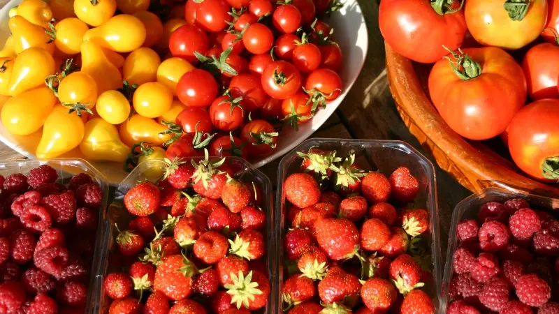 Marché fruits site