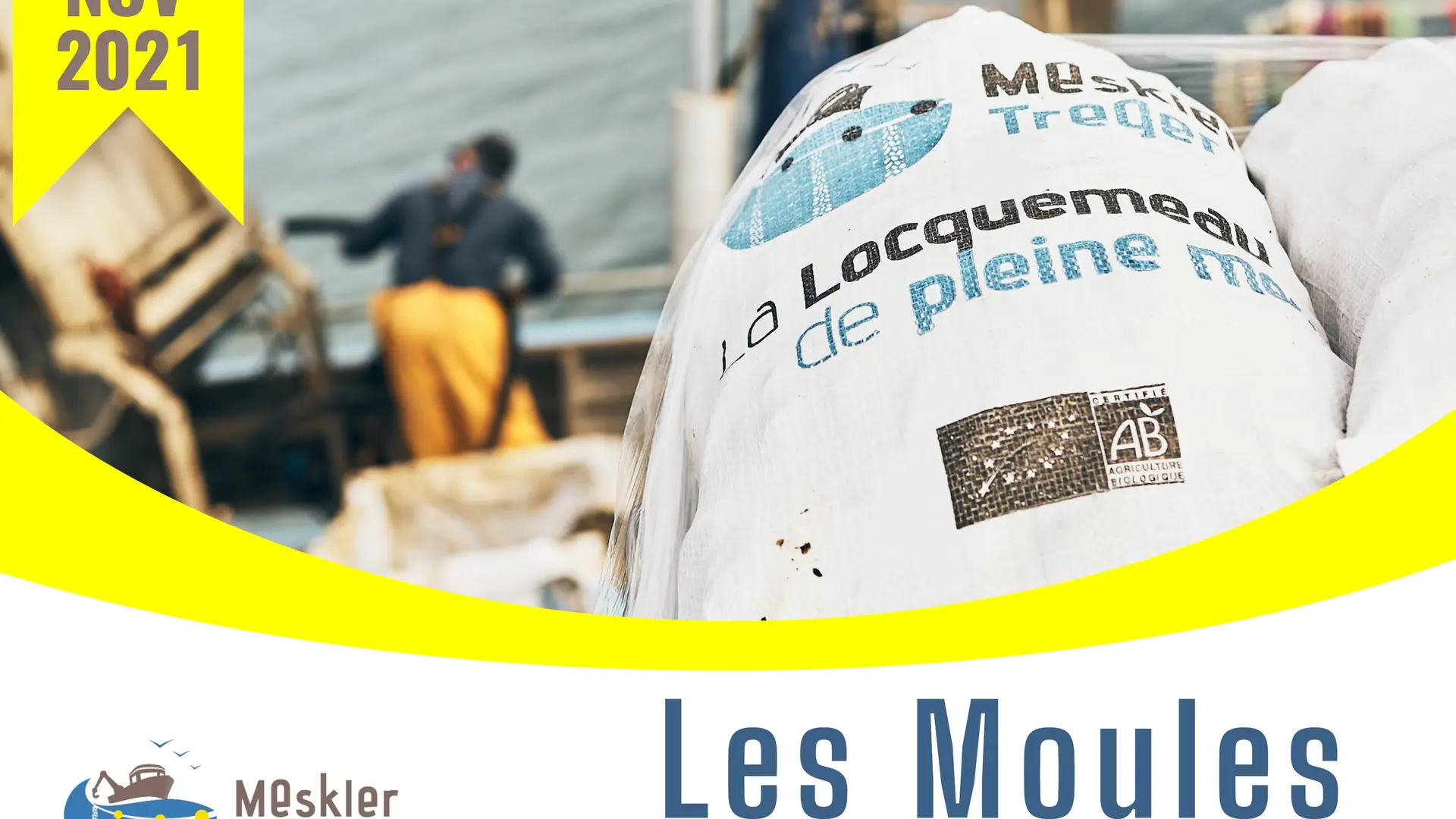 Moules Locquémeau