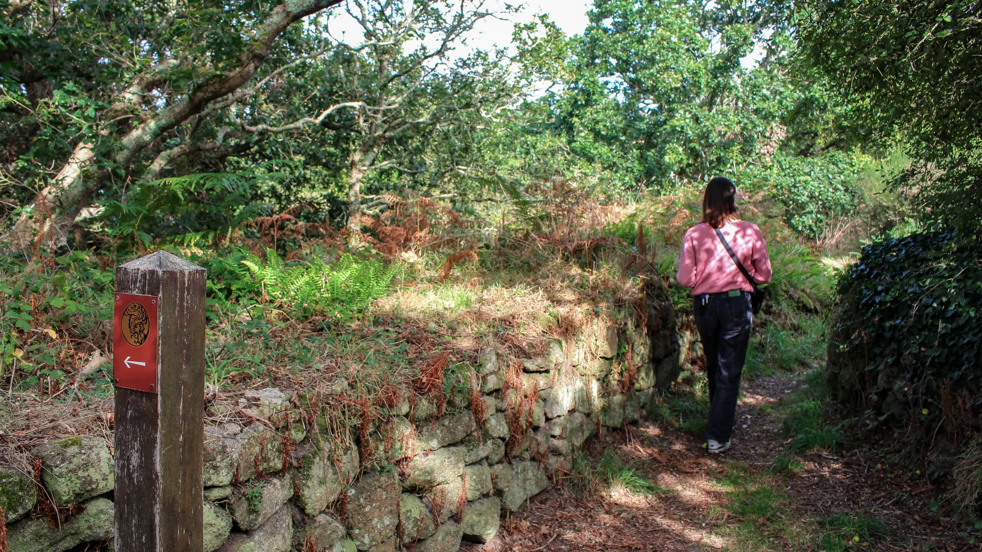 Mur gaulois Yaudet