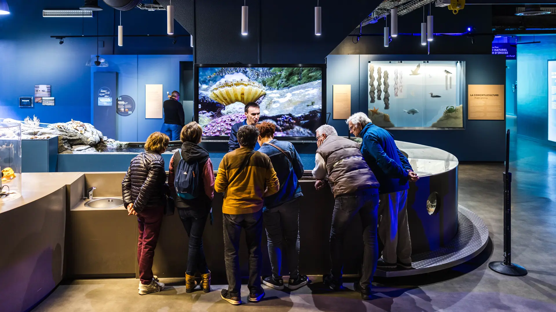 Oceanopolis_Pavillon-Bretagne_Credit-photo_JeanFrancois-LeBescond_L-Oeil-de-Paco (1)-min