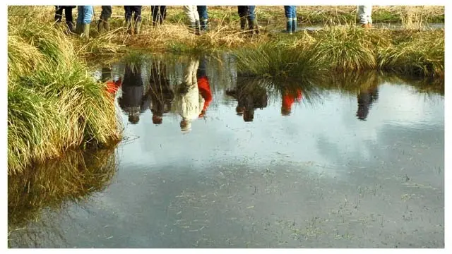 Dans le marais de Kermeno à La Chapelle-Neuve