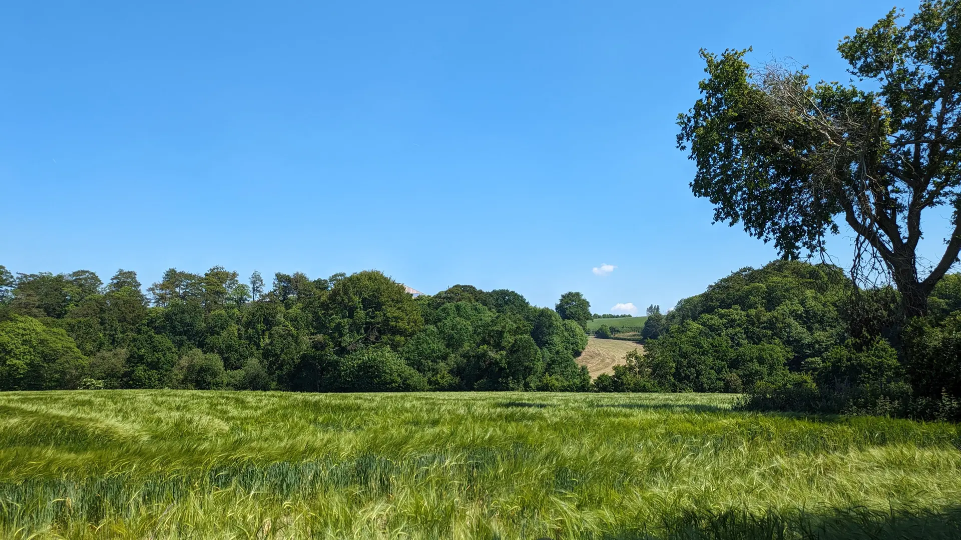 Campagne Plouguiel