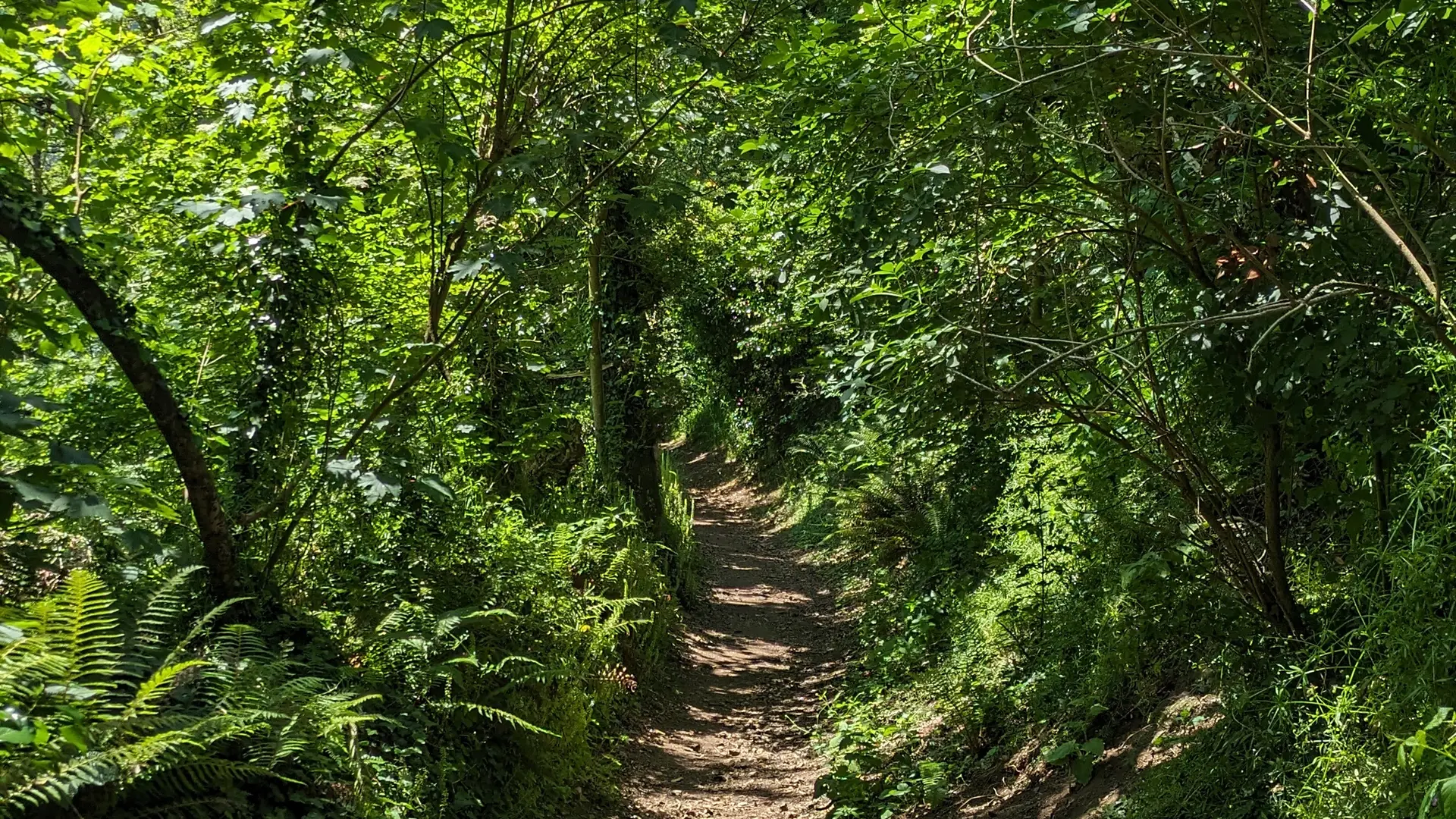 Sentier vallée du Guindy