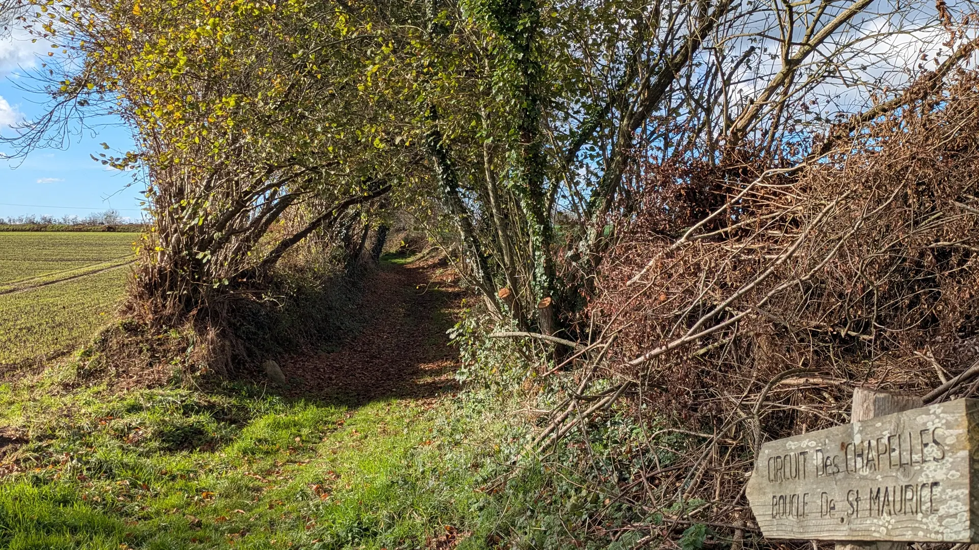 chemin boucle st Maurice Trémel