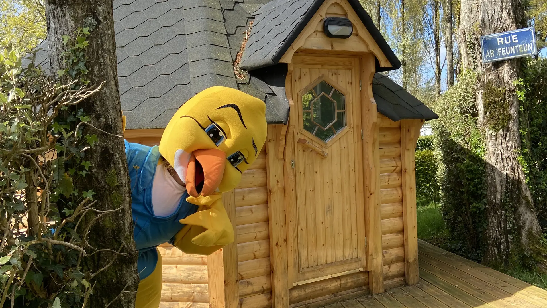 Piki joue à cache cache près du Kota