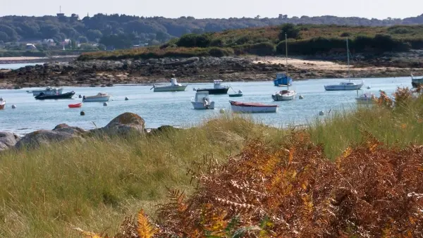 Port de Landrellec, Pleumeur Bodou