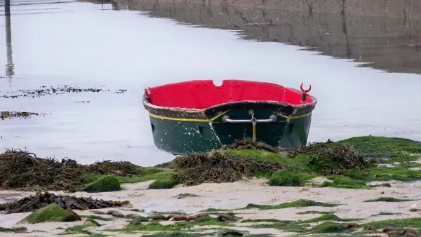 Port de Landrelle, Pleumeur Bodou (24)