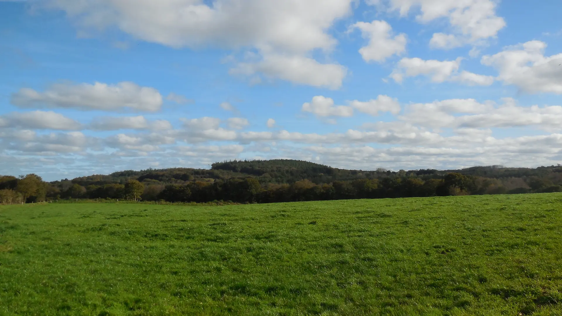 Réserve Plounérin (prairie)