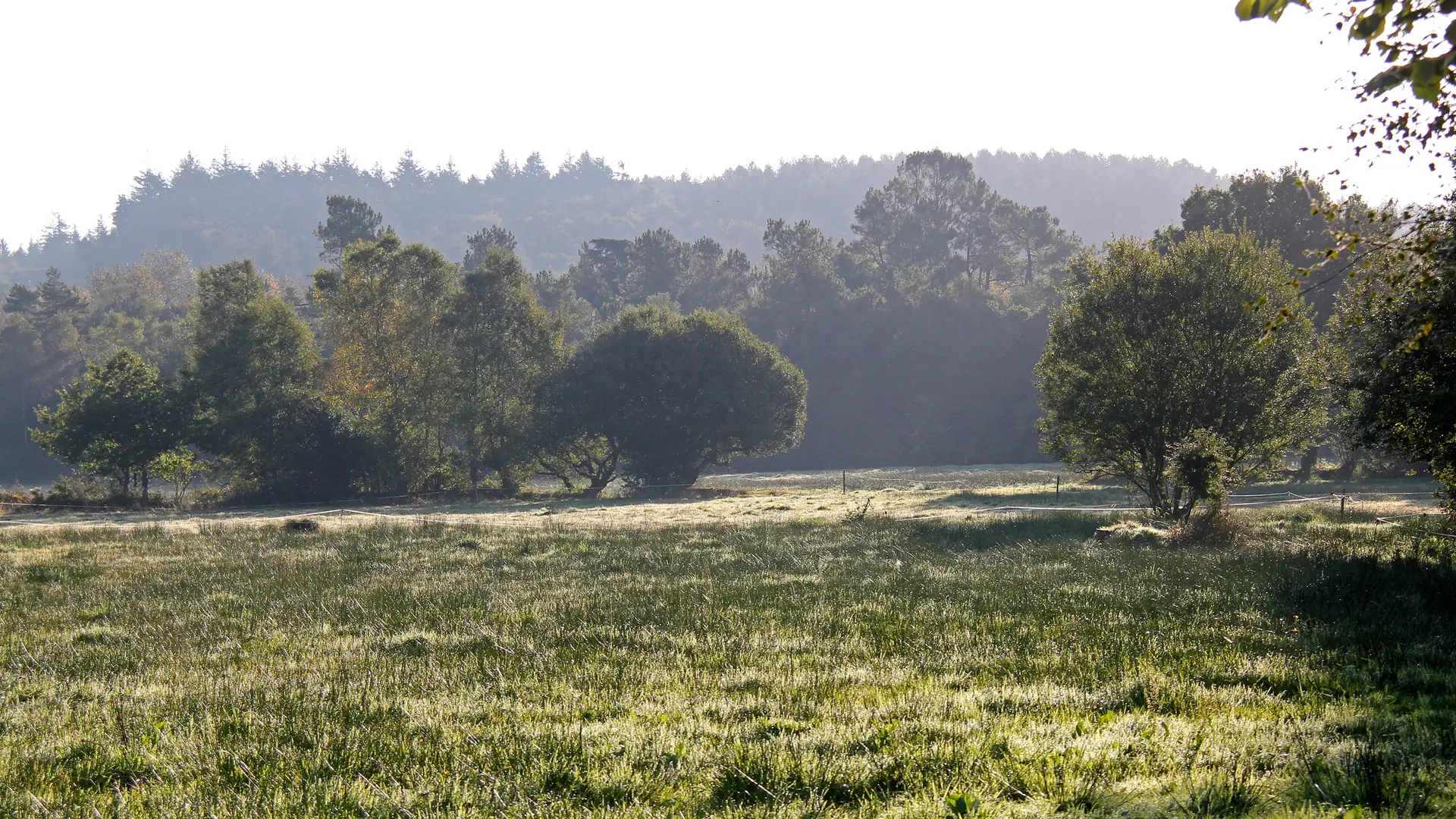 Réserve Naturelle Régional Plounérin