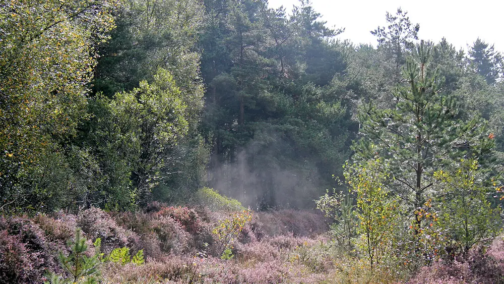 Réserve Naturelle Régional Plounérin