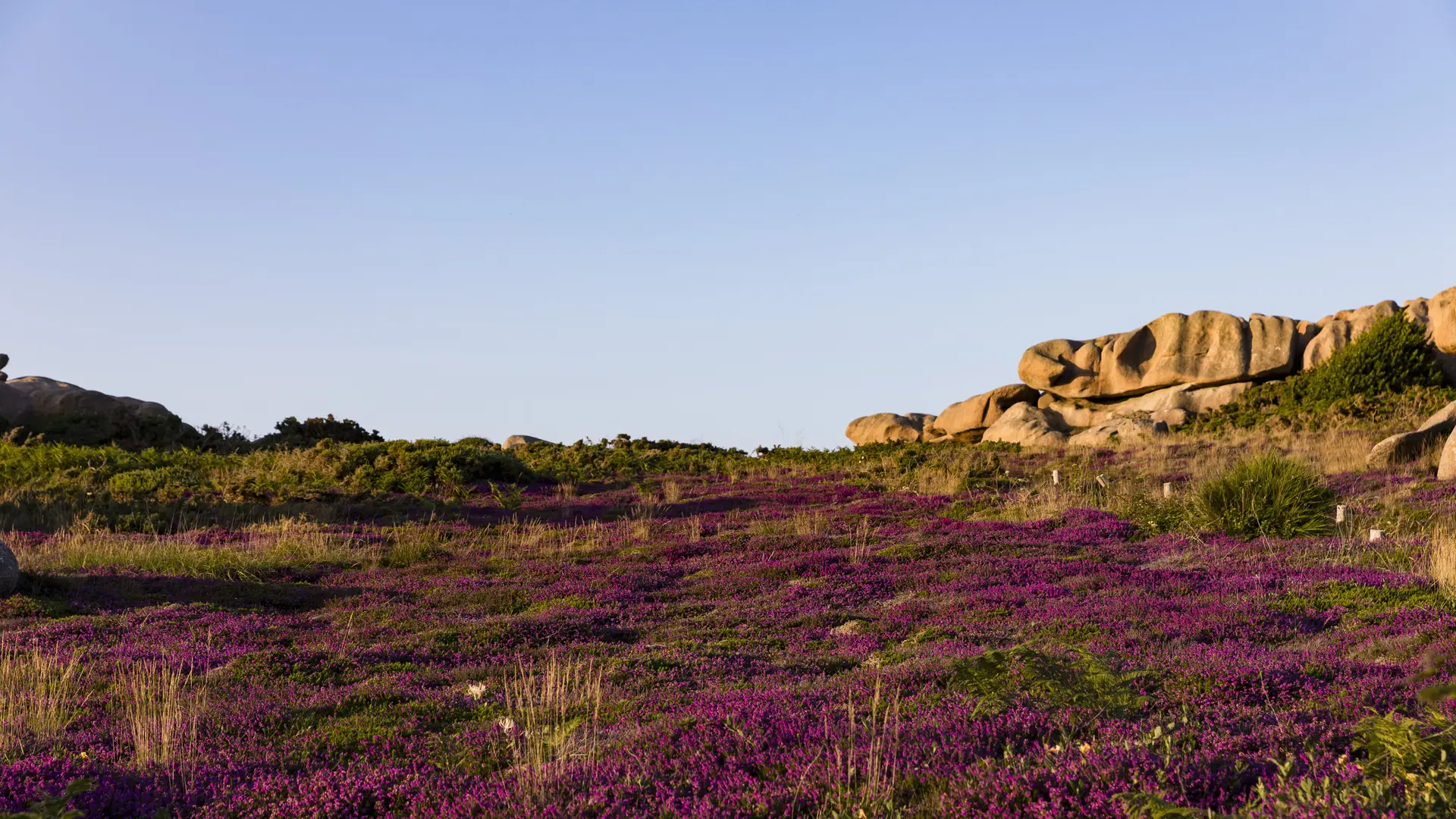 Rochers et Landes de Ploumanac'h
