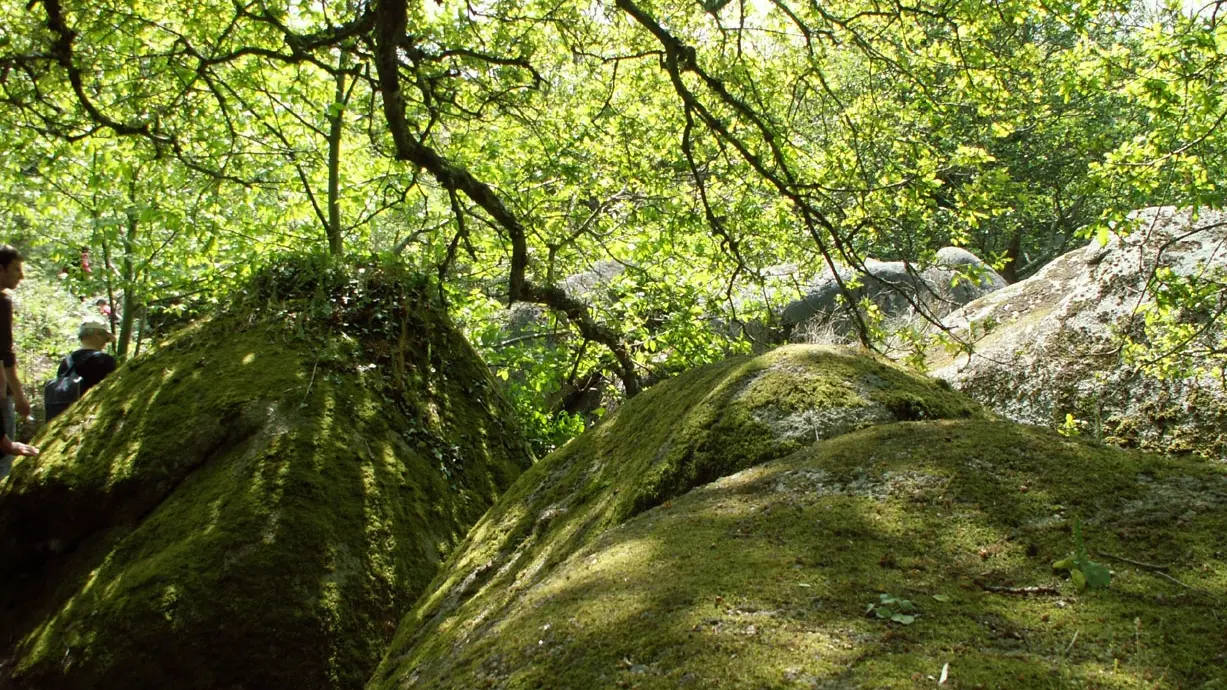 Vallée des Traouïero