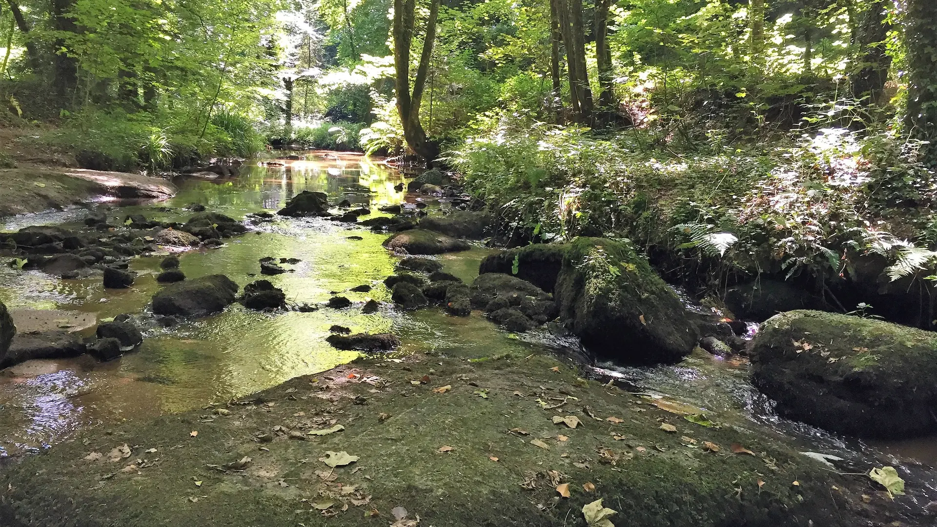 Vallée des Traouiéro