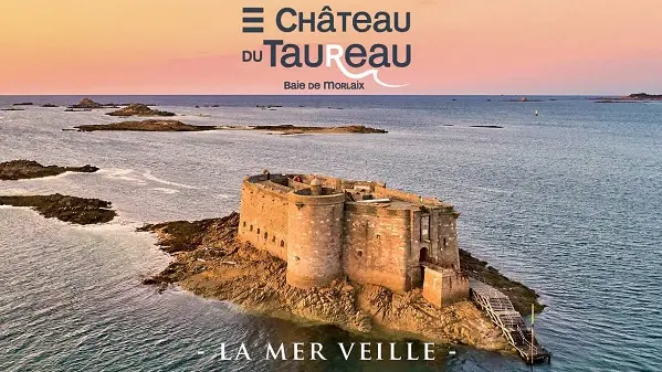 Visuel-Taureau-800--Alexandre-Lamoureux-6