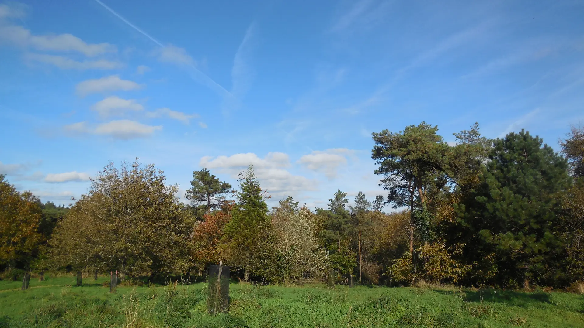 arboretum du Pavé