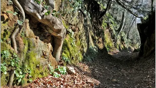 Le chemin creux de Melchonnec