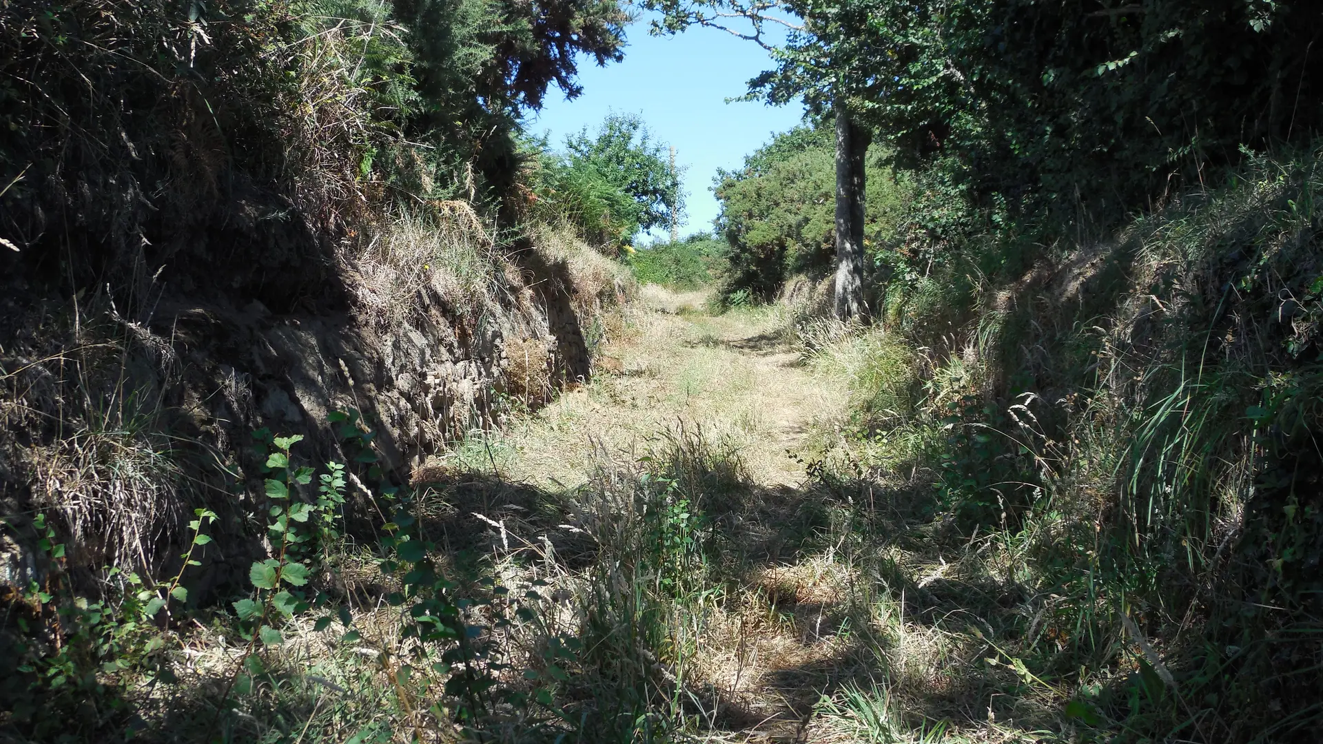 chemin creux Prajou Meur