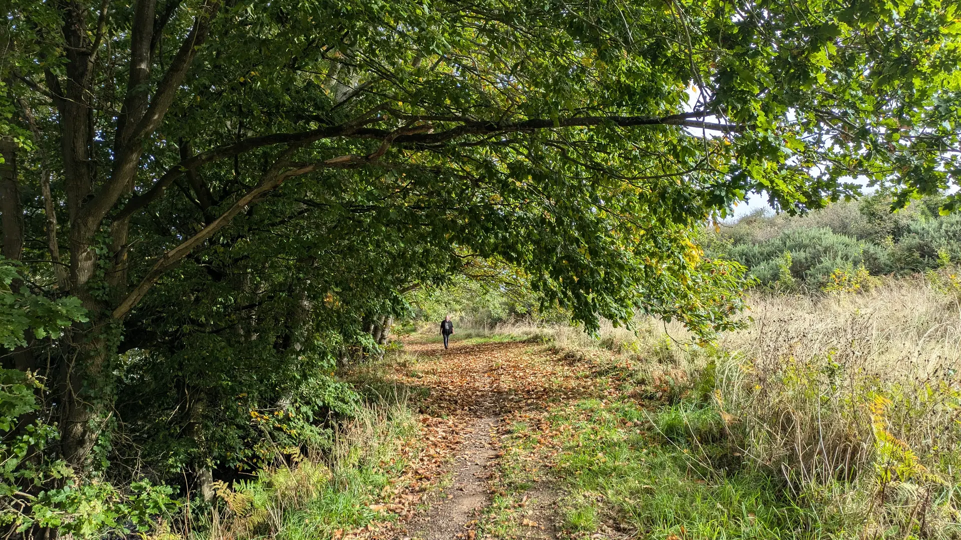 chemin baie de l'enfer sud