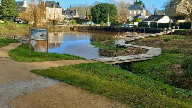 étang de Gwazh ar stank BD