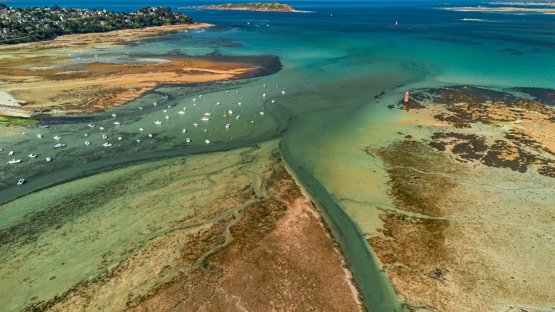 export_drone_chim-27