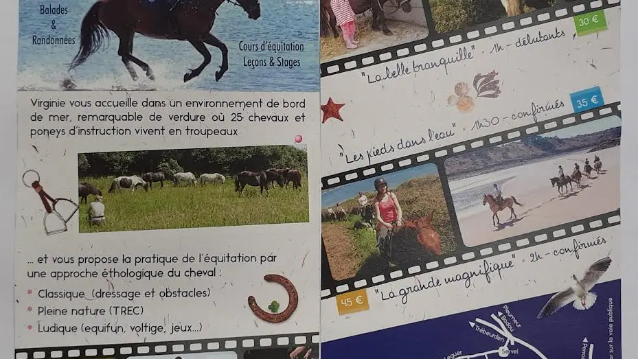 flyer 21-22