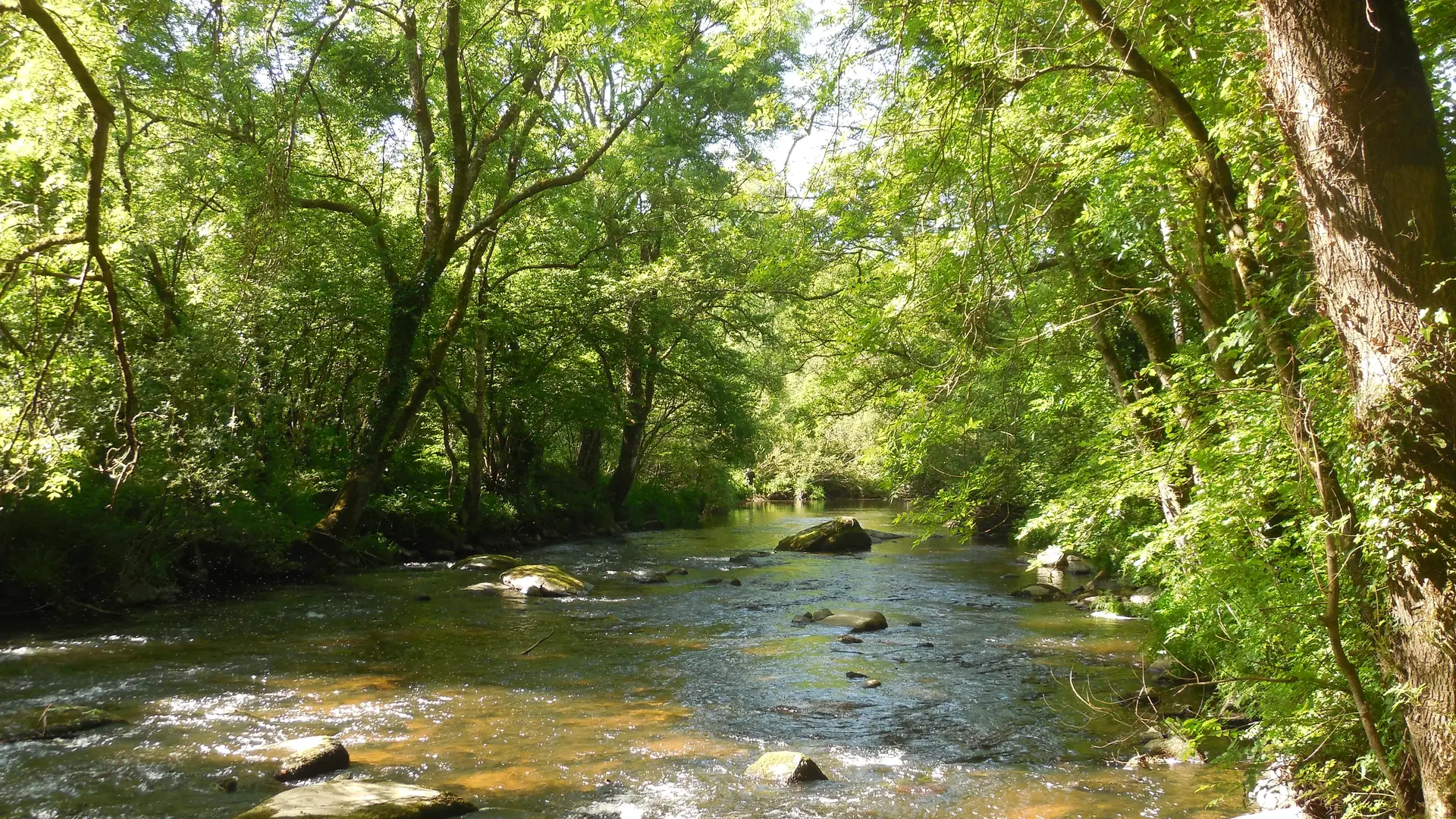 Le Léguer