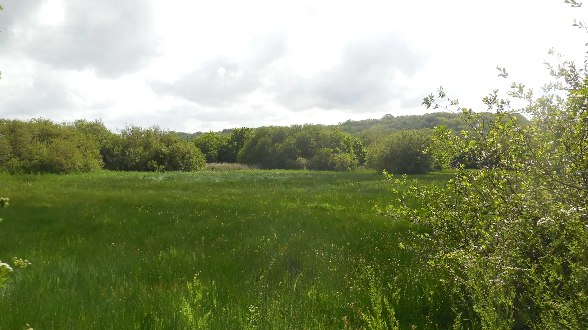 marais Trestel