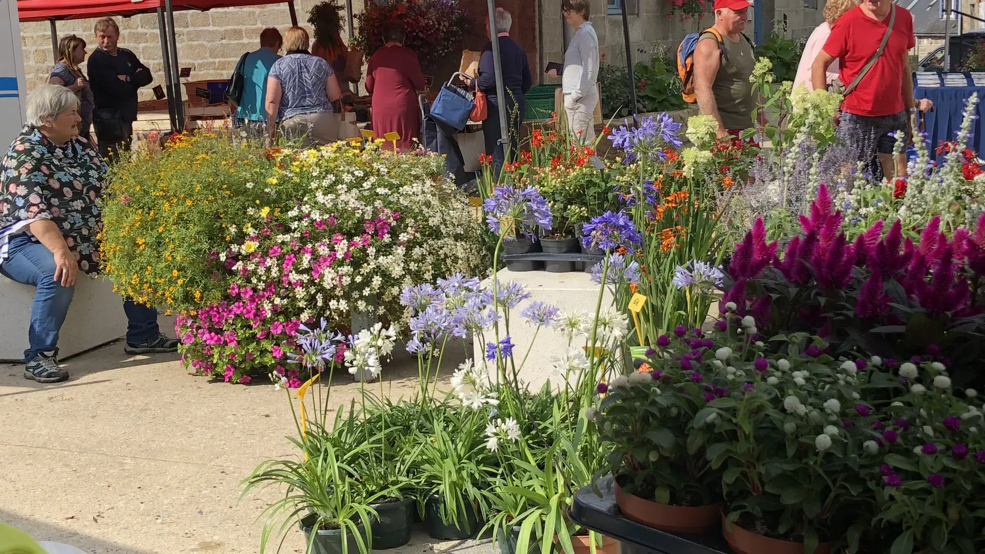 Le marché  hebdomadaire de Plouaret