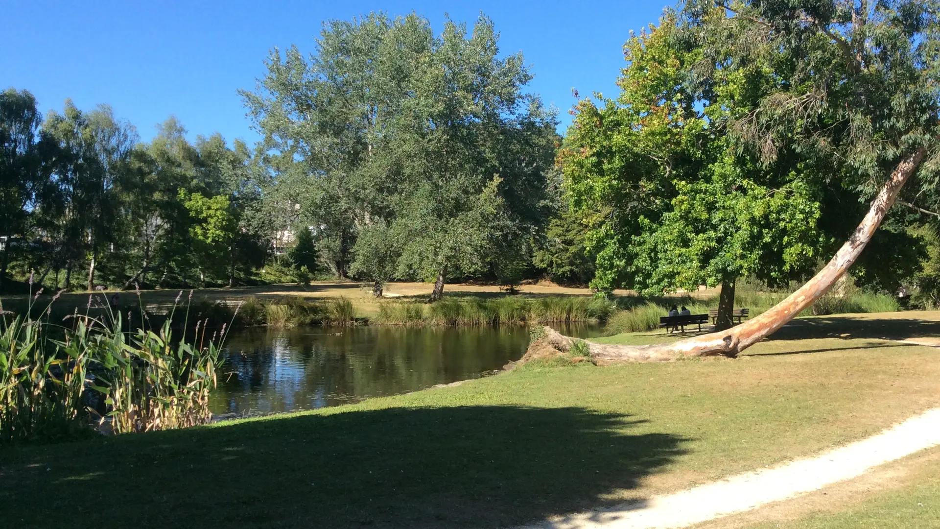 Parc St Anne_Lannion