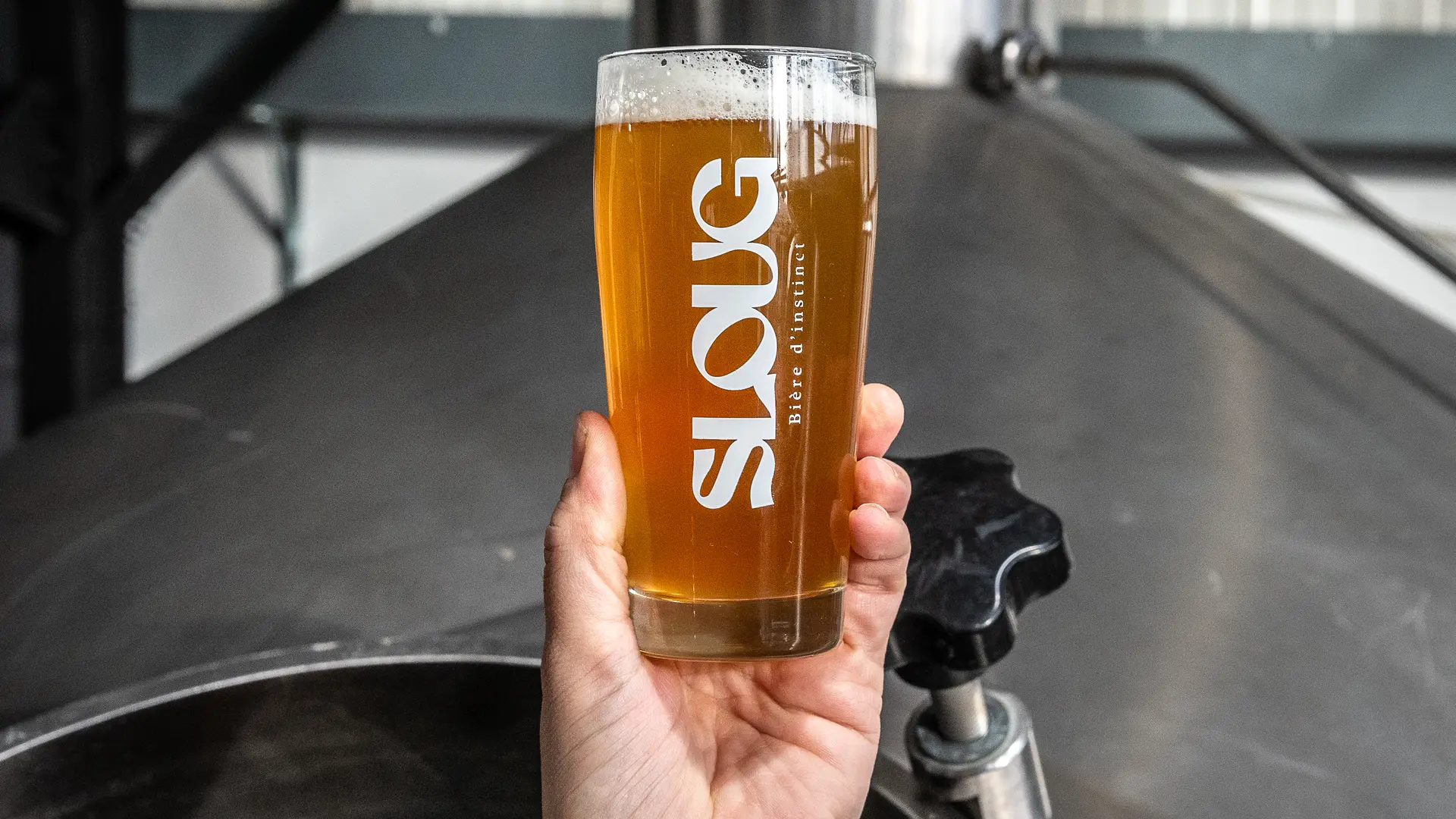 paulic_20250107_0241