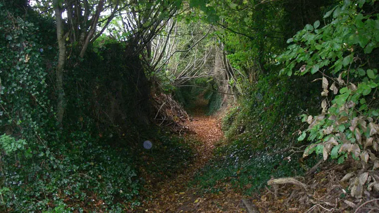A VTT Pluzunet
