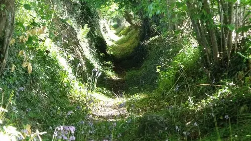 rando Sur les terres du Dresnay Loguivy-Plougras