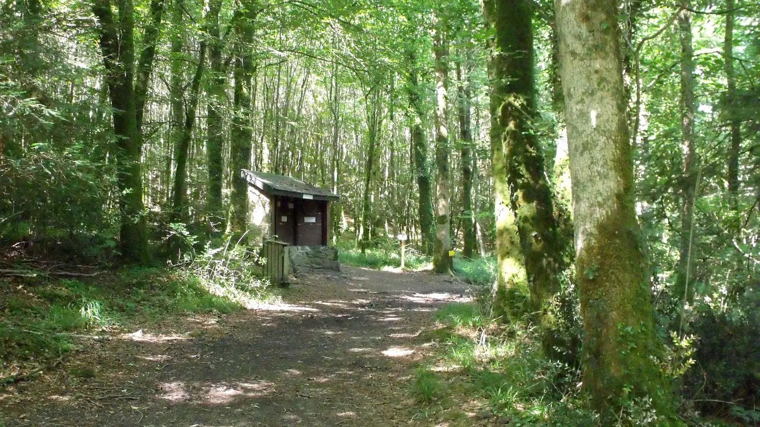 sentier Job le bûcheron 2012 Beffou ©G. Leroi (2)
