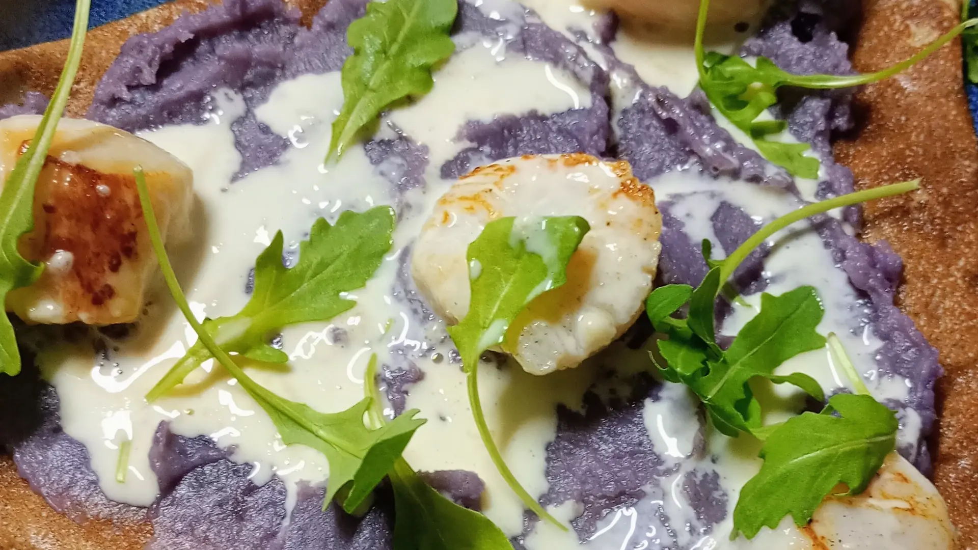 galette noix de st jacques, écrasé de pomme de terre vitelotte, sauce aux barbes