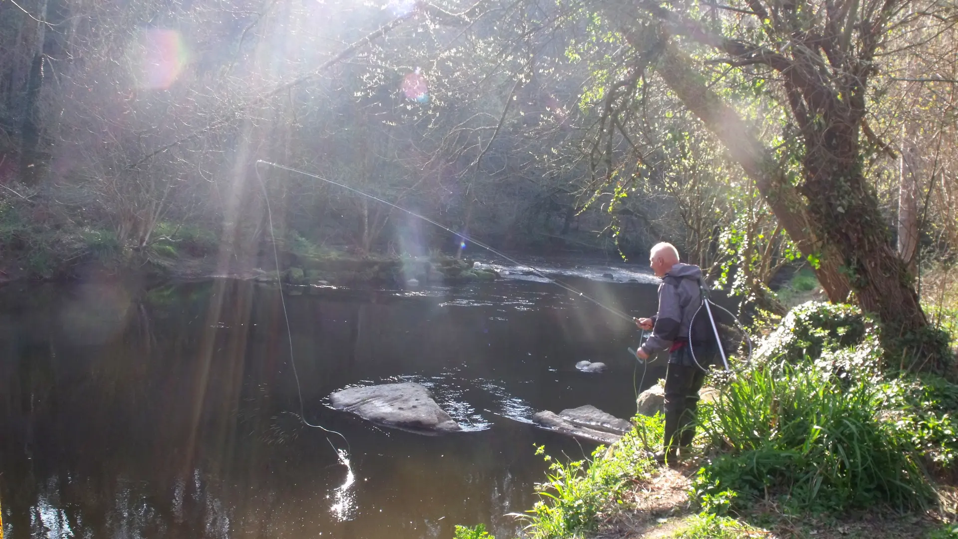 Sur le parcours mouche du Losser