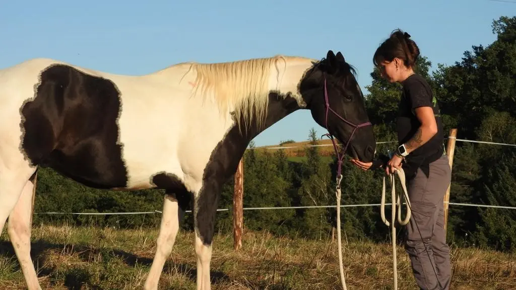 Ferme Équi’libre