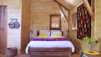 4-Coin-nid-Cabane-du-Rouge-Gorge