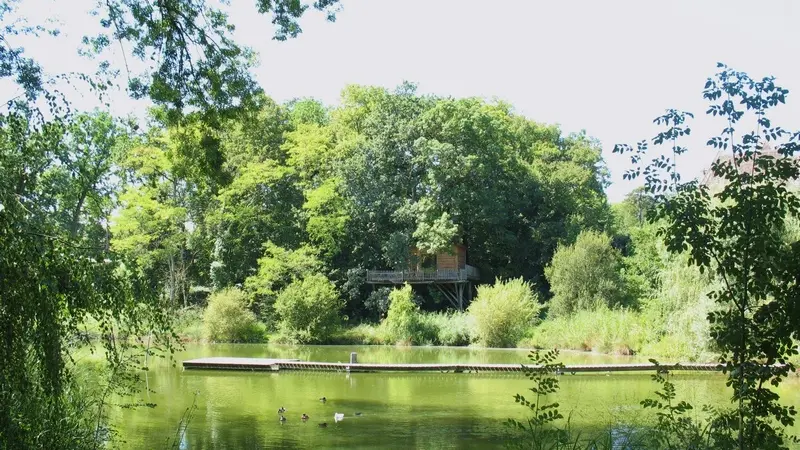 4-Gauth-GitTreehs-FromLake2